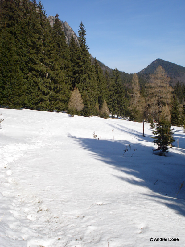 DSC00097.jpg