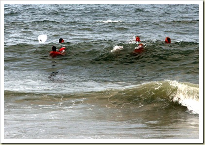 IMG_2983 IMG_2983