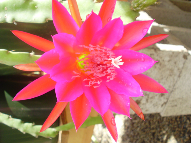 [image82%255B1%255D.png]