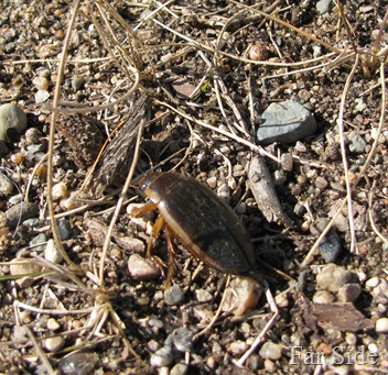 IMG_0188 IMG_0188