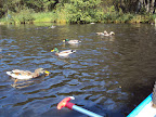 DSC01267.JPG