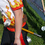 SSHL Rosina 2008 - od zajka