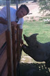 Eric Von Sydow Pua In Zoo 2