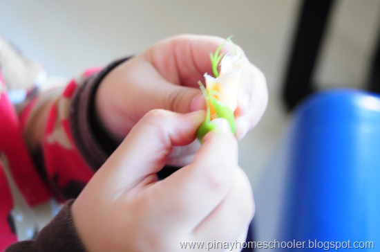 More Plants and Flower Activities