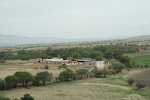 IMG_6418.JPG