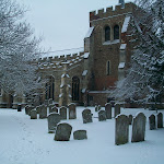 image17.jpg