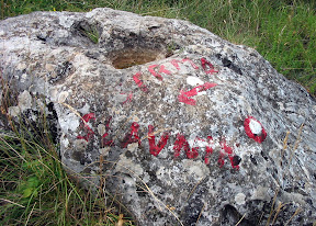 Way to summit, Mt. Slavnik.