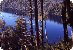 Neuquen Neuquen