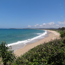 image: Dingo Bay