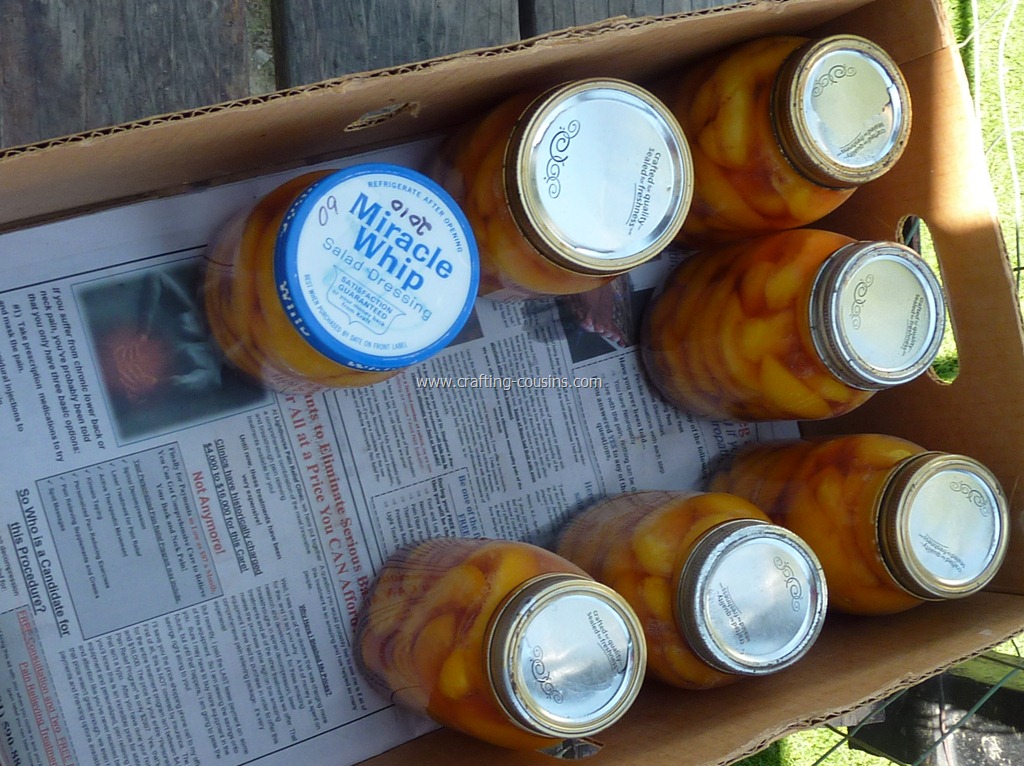 [Home-canned-peaches-by-the-Crafty-Co%255B36%255D.jpg]