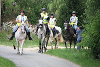 IMG_9285.JPG Photo