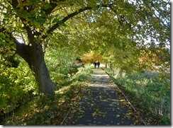 tweed path