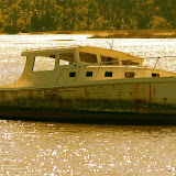 Low Tide
