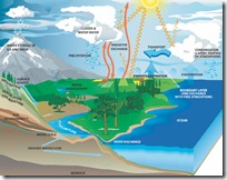 Colorear ciclo del agua y día mundial del agua - pintar y jugar