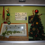 Moe Distributors Window Display Winter 2010