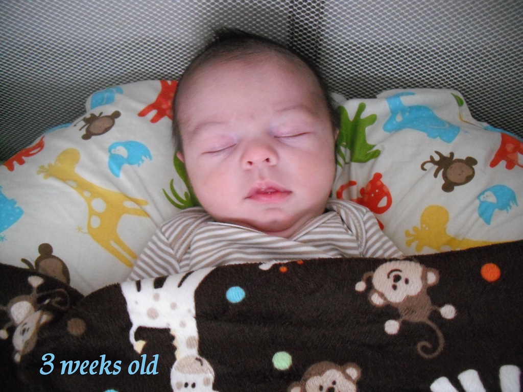 [039%255B4%255D.jpg]