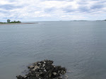 IMG_1381.jpg