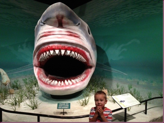 Connor and shark at the Dinasaur Museum