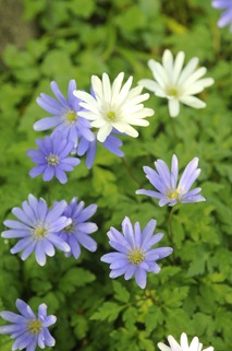 20120501_161913