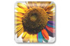 Descargar PhotoPlus gratis