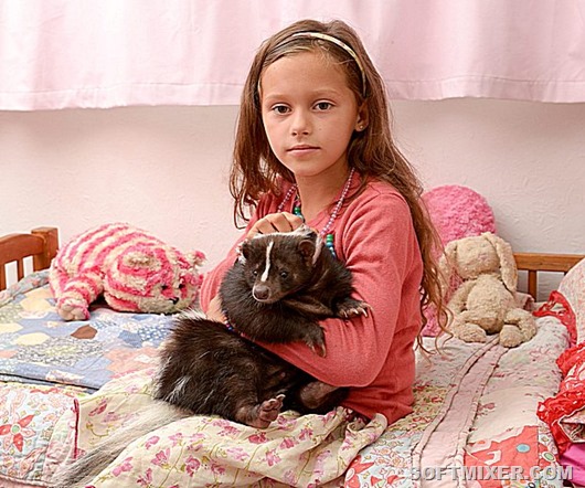 Skunk_girl_pixanews-2 Skunk_girl_pixanews-2