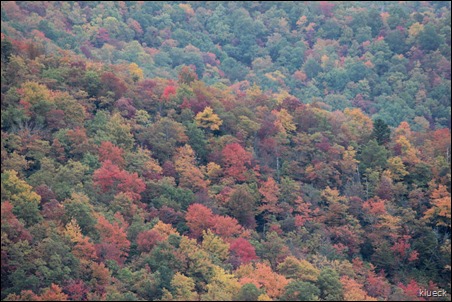 view from Brasstown Bald, Georgia