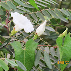 IMG_8193.JPG
