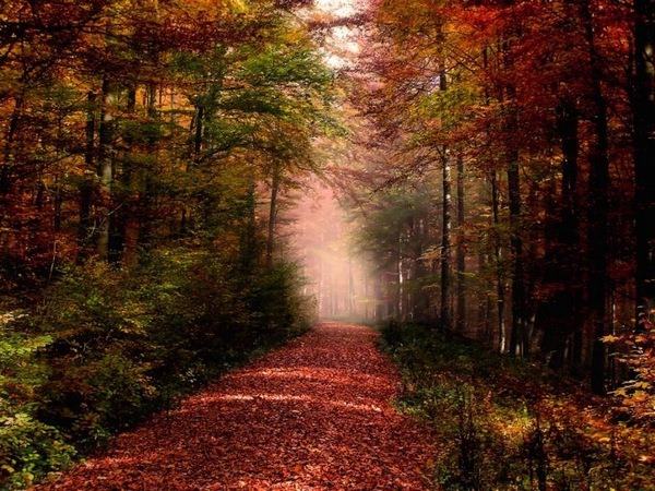 [Wonderful-Autumn8%255B5%255D.jpg]