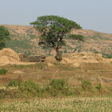 Ruturaj-Photogallery