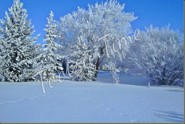 BeFunky_1459750_397088883757606_1083998274_n.jpg BeFunky_1459750_397088883757606_1083998274_n.jpg