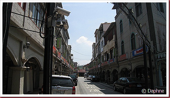 IMG_3705 IMG_3705