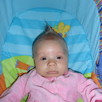 SAM_0603.JPG