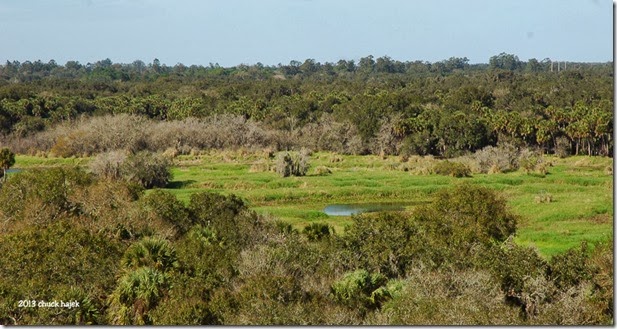 Myakka tower view 128 Myakka tower view 128