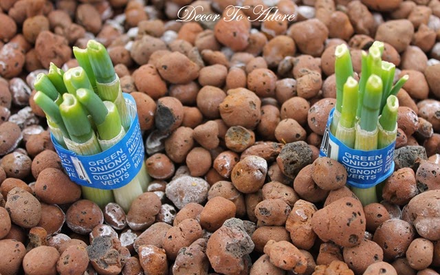 [1-IMG_2309%255B3%255D.jpg]