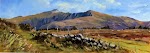 Snowdon horseshoe.jpg
