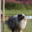 IMG_9827.JPG