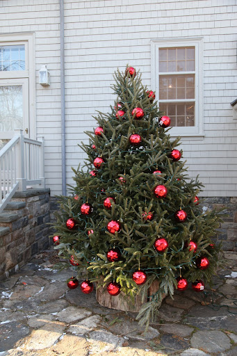 Because of you, this tree is beginning to look great!