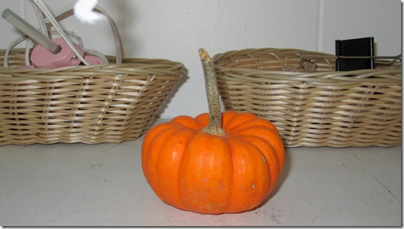 IMG_3494 IMG_3494