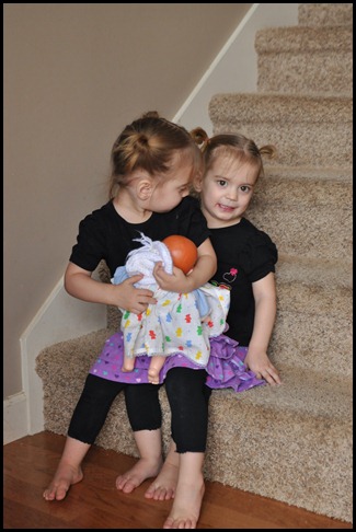 DSC_0909 DSC_0909