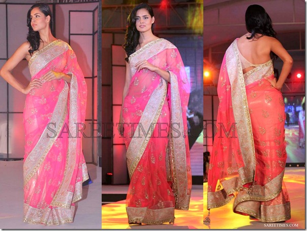 Manish_Malhotra_Pink_Embroidery_Saree