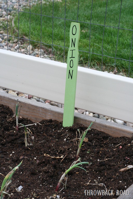[garden%2520marker%2520017%255B5%255D.jpg]