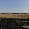 dsc06773.jpg