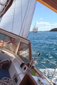 Great sail on Freewind_Bay of Islands