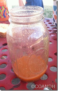 Day 2 Juice