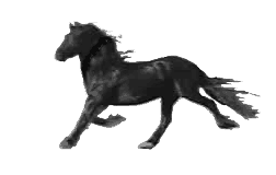 cavalo_correndo