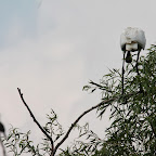 IMG_6668.JPG