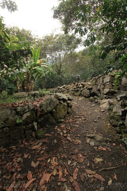 [IMG_7145%255B10%255D.jpg]