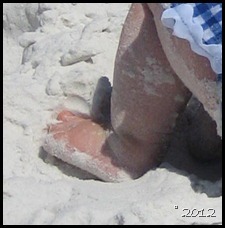 IMG_1725_thumb15 IMG_1725_thumb15