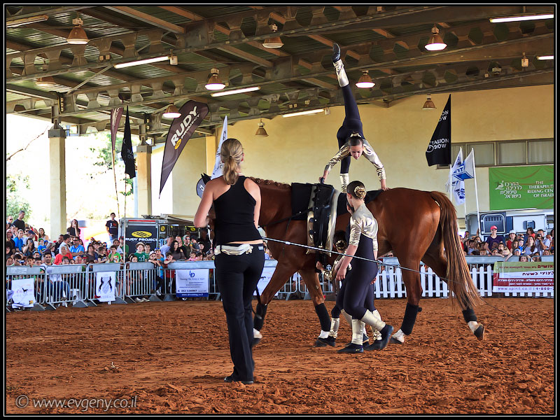 il/Фото: Stallion Show 2011 (20110416 stllion show 024 2054)
