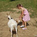 DSC_2394.JPG